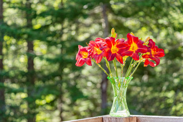 red lilies in a vase