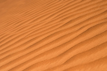 Sand dunes in a desert of Dubai