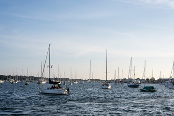 Fototapeta na wymiar Newport Marina
