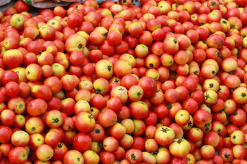 Red Tomato in market