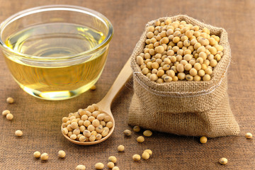 Soybeans in burlap sack bag and wooden spoon, have oil in a glass cup is placed nearby. - Image