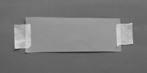 Pieces of torn paper on plain background. Copy space