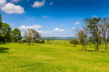 landscape of Savanna Forest and mountain with a blue sky and white clouds in the spring afternoon