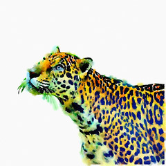 digital painting leopard isolated