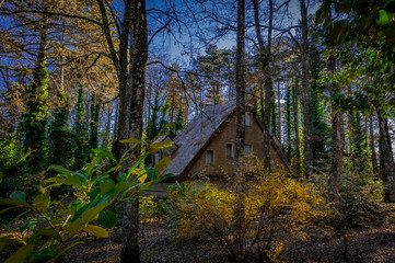 casa nella foresta