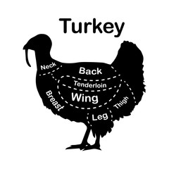 Fototapeta na wymiar Meat cuts - turkey. Diagrams for butcher shop. Scheme of turkey. Animal silhouette turkey. Guide for cutting. Vector illustration.