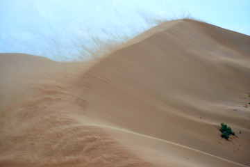 Sandstorm in desert. Sandstorm in the dunes.