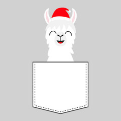 Alpaca llama sitting in the pocket. Santa Claus hat. Smiling face. Cute cartoon character. Hello winter. Merry Christmas. Happy New Year. Gray background. Flat design.