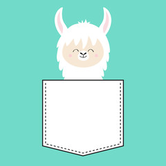 Alpaca llama face sitting in the pocket. T-shirt design. Cute cartoon funny character. Kawaii animal. Love Greeting card. Flat design style. Blue background. Isolated.