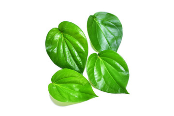 Betel leaf