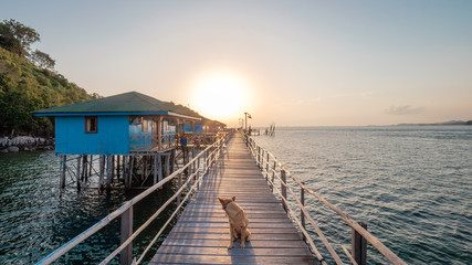 Obraz premium Looking back the past