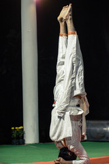 Assam culture and wildlife