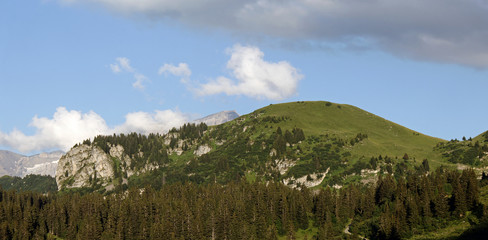 Obraz premium Alpine Pasture