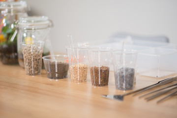Kid plant small tree in the bottle in the science class