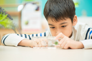 Kid study biology insect in the science class