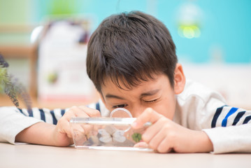 Kid study biology insect in the science class