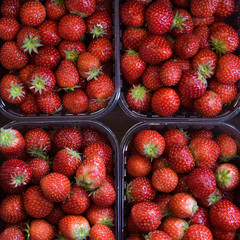 fresh strawberries in a box