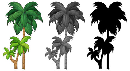 Naklejka premium Set of palm tree