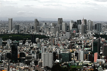 Fototapeta premium Urban landscape of Tokyo Shinjuku