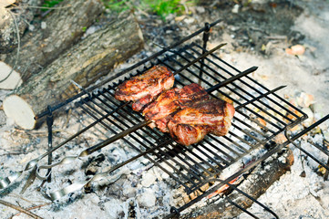 Meat on a skewers and the lattice, cooked over an open fire on the grill. Camping kitchen in nature.