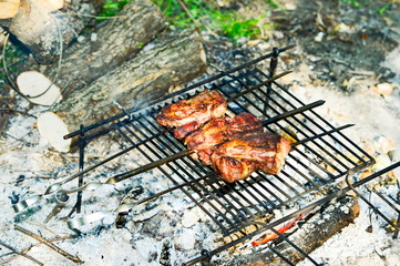 Meat on a skewers and the lattice, cooked over an open fire on the grill. Camping kitchen in nature.