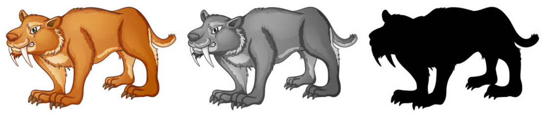 Set of sabertooth tiger