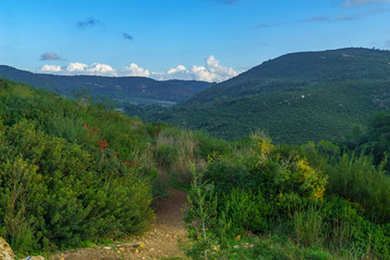 Fototapeta na wymiar Landscape of Mount Carmel
