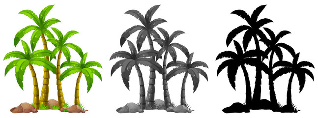 Set of palm tree © GraphicsRF
