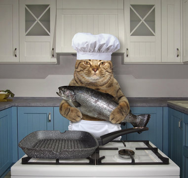 The cat chef is frying a whole fish in a square grill pan on a gas stove in the kitchen.