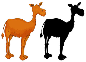 Set of camel character