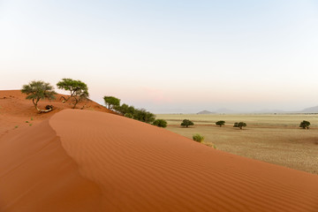 Fototapeta na wymiar Sand dunes in Namibia