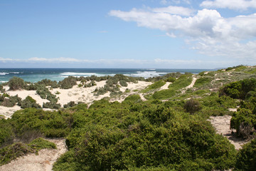 Fototapeta na wymiar Seals Bay, Kangaroo Island, South Australia