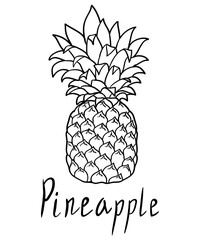 Pineapple  isolated on white. Raster version icon pineapple, graphic object