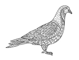 Fototapeta na wymiar Drawing zentangle dove, for coloring book for adult or other decorations. Black and white version illustration