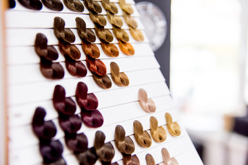 Professional hairdresser working with client in salon