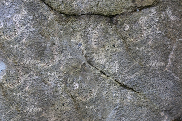 rough texture of a old gray wall.