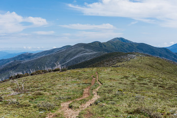 Australia Alpine NP