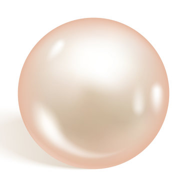 Single beautiful shiny natural pearl isolated on white background. Soft apricot pearl. Vector illustration.