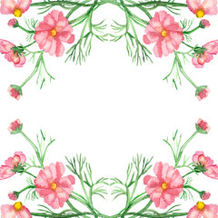 Watercolor banner delicate pink flowers on green stems with needle leaves isolated on white background. Hand painted rare pink daisies for elegant design of wedding invitations, greeting cards.
