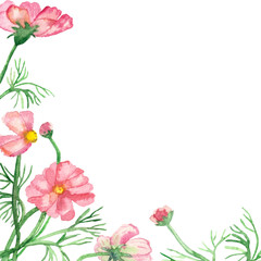Watercolor banner delicate pink flowers on green stems with needle leaves isolated on white background. Hand painted rare pink daisies for elegant design of wedding invitations, greeting cards.