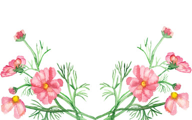Watercolor banner delicate pink flowers on green stems with needle leaves isolated on white background. Hand painted rare pink daisies for elegant design of wedding invitations, greeting cards.