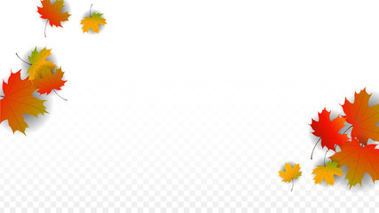 September Vector Background with Golden Falling Leaves. Autumn Illustration with Maple Red, Orange, Yellow Foliage. Isolated Leaf on Transparent Background. Bright Swirl. Suitable for Posters.