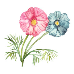 Watercolor composition delicate pink and blue flowers on green stems with needle leaves isolated on white background.
