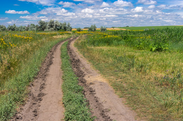 Fototapeta na wymiar Summer landscape with an earth road through flowering meadow to sunflower field near Dnipro city in central Ukraine