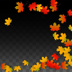 September Vector Background with Golden Falling Leaves. Autumn Illustration with Maple Red, Orange, Yellow Foliage. Isolated Leaf on Transparent Background. Bright Swirl. Suitable for Posters.