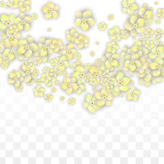 Blue Vector Realistic Blue Petals Falling on Transparent Background.  Spring Romantic Flowers Illustration. Flying Petals. Sakura Spa Design. Blossom Confetti. Design Elements for Wedding Decoration.