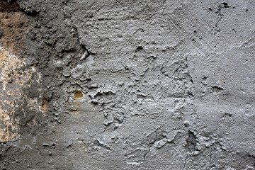 rough texture of a old gray wall.