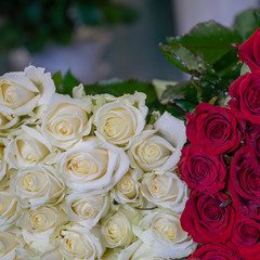 Close up view of claret and white roses bouquet. Red roses background. Top view.