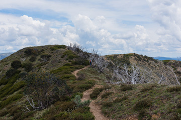 Fototapeta na wymiar Australia Alpine NP