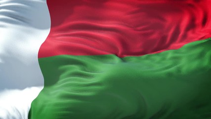 Realistic Flag of Madagascar Loop